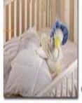 Gosling Crib White Down Duvet / Down Comforter
