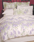 Wysteria by Revelle