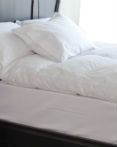 Daundekken Pillowtop Hutterite Featherbed by St. Geneve