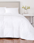 Regency White Goose Down by J Queen New York