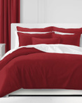 Braxton Red